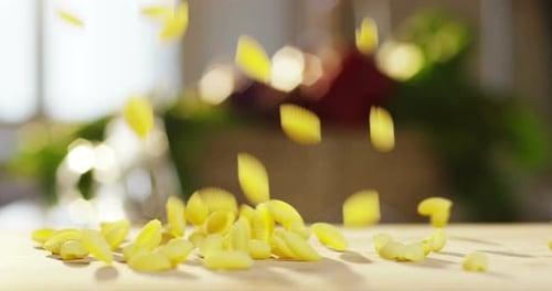 slow motion of Italian pasta flying in macro on a table. the Italian dough of superior quality. co