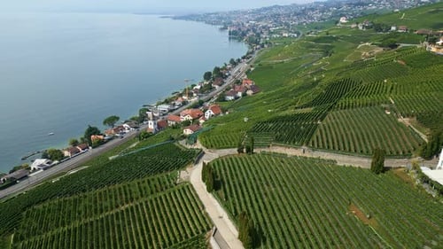 Drone reveal shot of Lavaux vineyards and the Lake of Geneva in Switzerland.