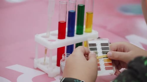 Teenager Holds Color Chart Near Test Tubes During Chemical Experiment