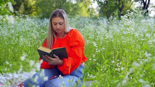 Among Field Daisies and Trees a Woman is Reading a Book
