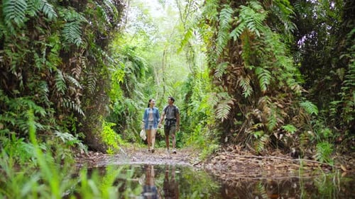 4K Young Asian couple hiking together in tropical forest.