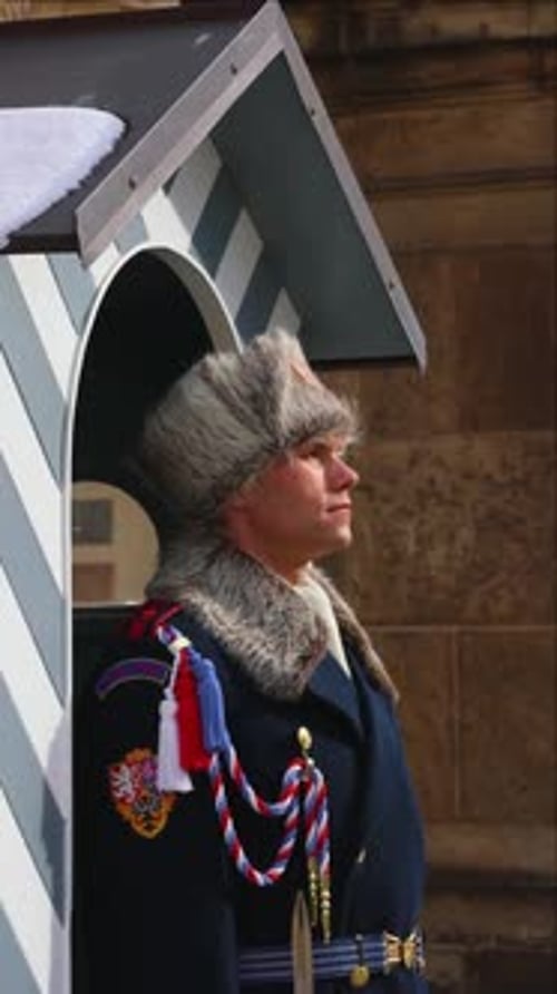 vertical Presidential Guard standing still in Prague Castle