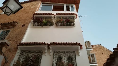 Fachada de casa tradicional y puerta de entrada de Chefchaouen, Marruecos, con un viento exuberante decorado con plantas