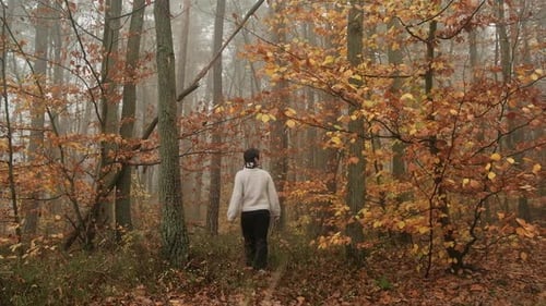 Female walking in forest in autumn forest at foggy day