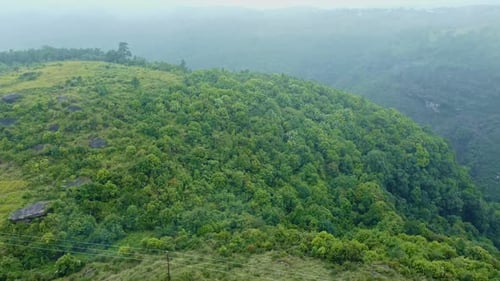 Lush Green Hills from Above with Dense Vegetation