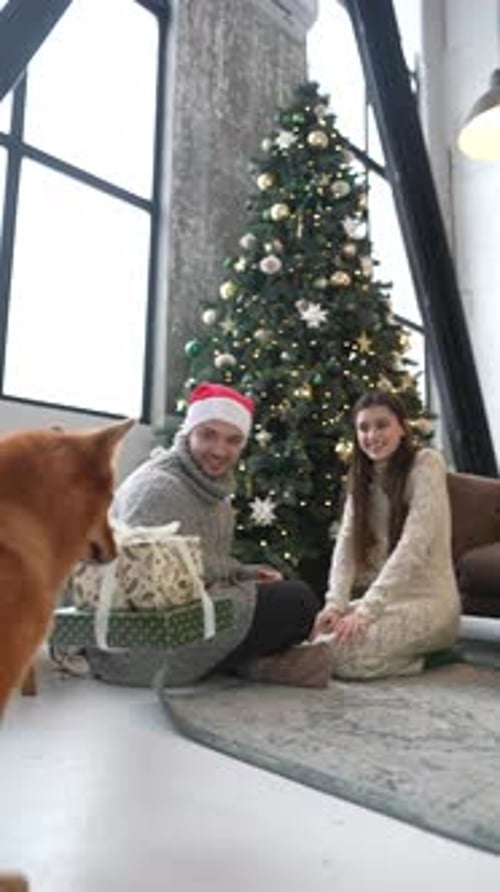 Couple Receives Christmas Gifts from Dog at Home