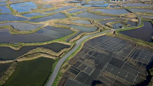 Aerial View of Cars Driving on a Narrow Road Between Slat Marshes Guerande