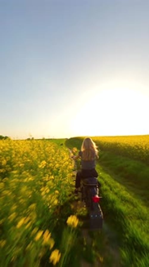 FPV of Woman and Dog Riding a Vintage Motorcycle in the Countryside at Sunset