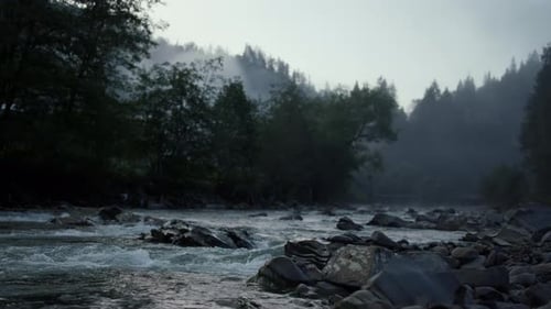 Abundant mountain river flowing through forest valley in cloudy morning landscape