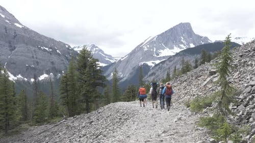 Scenic Mountain Trail Hike with Friends