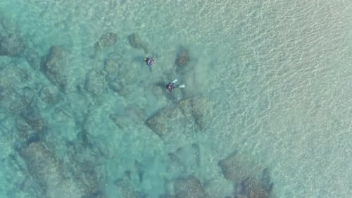 A drone view of sharks swimming in clear water, Hadera in Israel