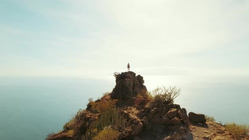 A person stands alone on a rocky peak overlooking the ocean under a clear sky.