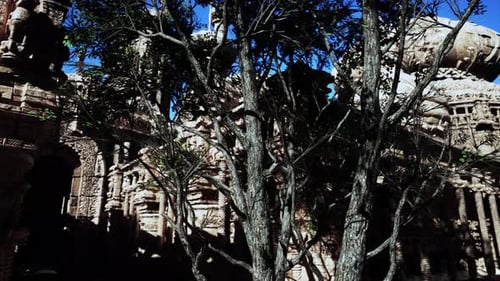Tree Standing By Stone Building