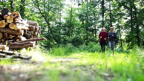 Senior Sporty Couple Running in the Forest Outdoors in Sunny Nature