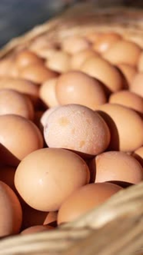 Vertical Shot of Eggs in a Bowl