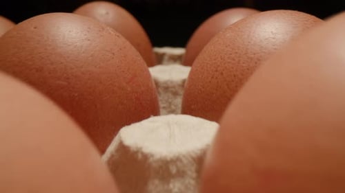 Eggs Shooting on Moving Macro Camera Many Eggs in Paper Container Raw Fresh Brown Eggs