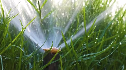 Aspersor de plástico irrigando grama com água no jardim de verão, regando vegetação verde, escavando