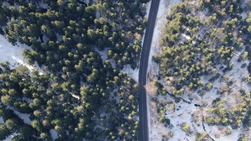 Top view on the road surrounded by forest covered in snow, 4k