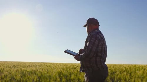 Senior Farmer Using Tablet in Wheat Field