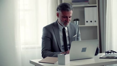 Mature businessman working at computer in bright modern office environment
