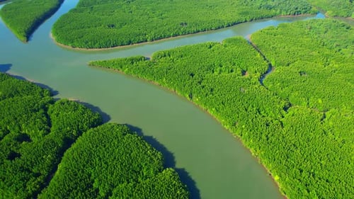 4K : Drone Flying over the mangrove forest at Phang Nga Bay