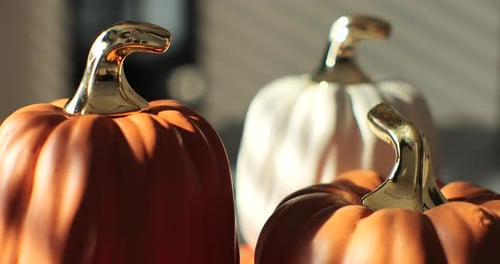 Elegant Decorative Pumpkins with Gold Stems