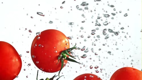Tomatoes Falling Under Water on a White Background Filmed on a Highspeed Camera at 1000 Fps