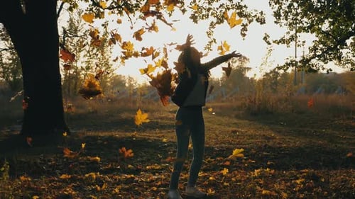 Woman Enjoying Autumn, Throwing Leaves in the Air