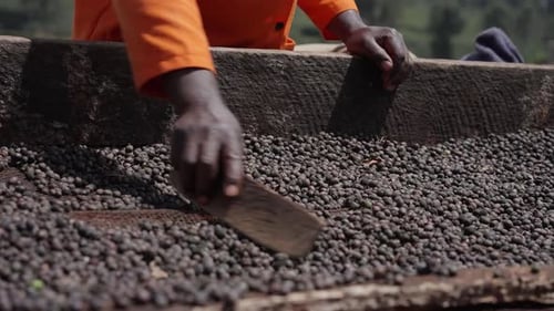 Employee Mixing Ready Made Coffee