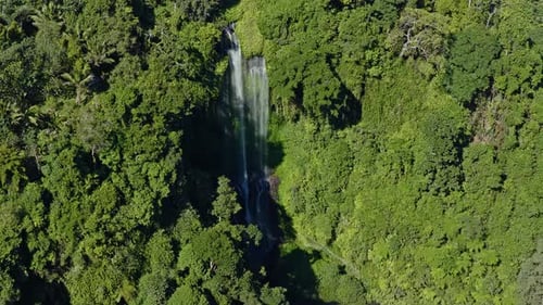 Aerial View of Tropical Waterfall Flowing Through Forest