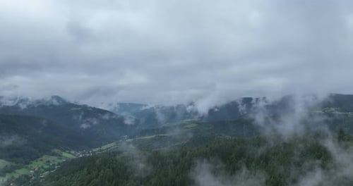 Pine Forest Fog Clouds Descending Aerial Top View Drone Video