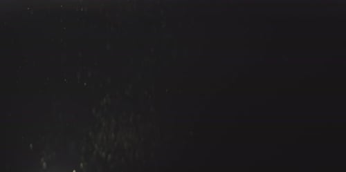 Dust Particles Floating