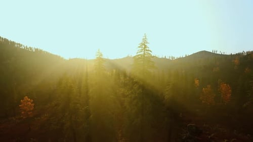 Sunlight Through Mist Autumn Sunlight Casting Long Shadows Clearly