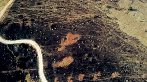 Aerial top down and reveal of a hilltop and large burnt forest area in the aftermath of wildfires