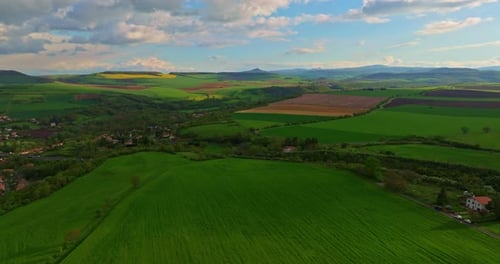 Wunderschöne Flugszene auf dem Land in der Sommersaison Natur Naturreisen