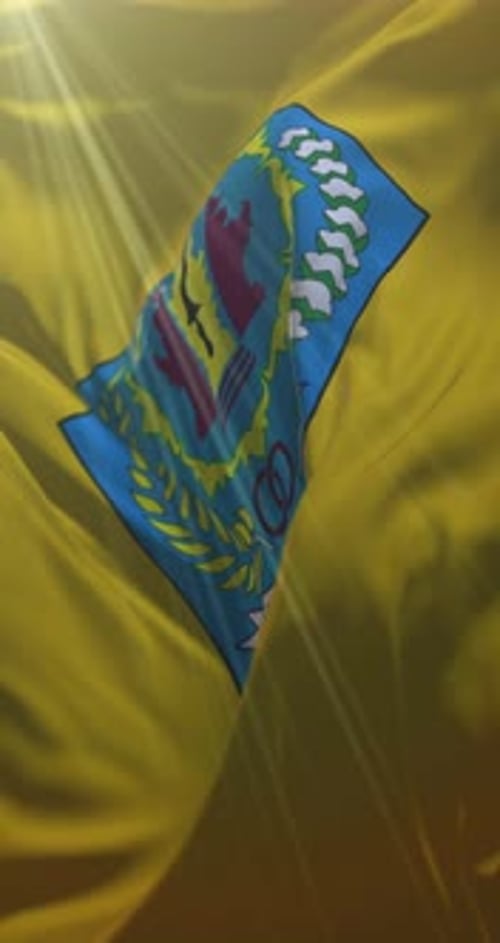 Vertical Waving Flag with Crest Emblem Animation