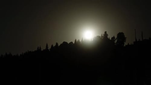 Moon Moves Over Night Forest Trees in Time Lapse at Nature Background in Mountains. Trees Silhouette