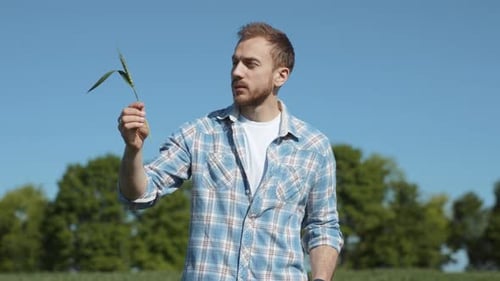 Happy Young Farmer Agronomist Examining Green Ears of Wheat Using a Digital Tablet Standing in the