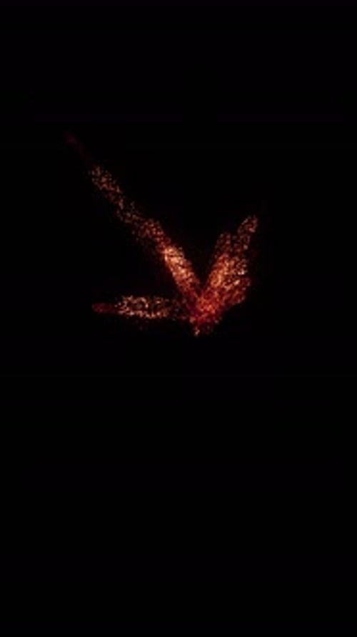 Aerial Sparks Explosion (6)