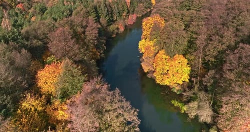 Autumn forest and Broda river at sunrise in Poland.