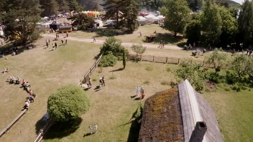 festival, an artisan market in an open-air museum, lots of people
