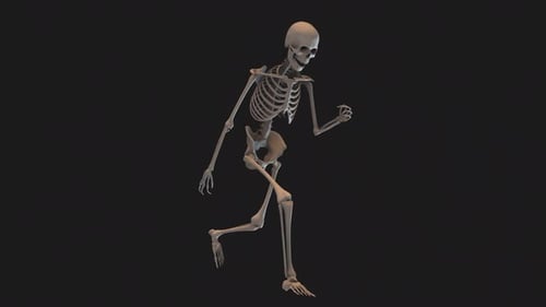 Skeleton Clumsy Walk Cycle Loop 02