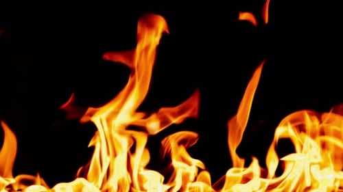 Belle flamme dansante, langues de flammes oranges, flammes brillantes sur fond noir