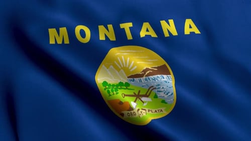 Realistic Waving Montana State Flag Loop