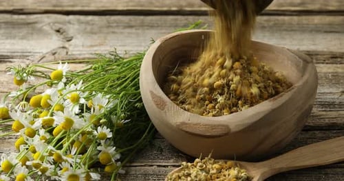 Chamomile flowers and dried petals in wooden bowl