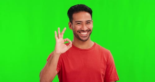 Okay sign, face and man on green screen for success, certified and excellence in casual clothes