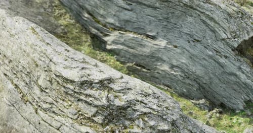 Rugged Rock Formations Near a Forested Area Show Intricate Textures and Colors