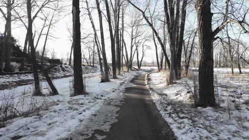 Snow Lined Walking Path Through Bare Trees in a Quiet Winter Park