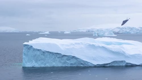 Die Antarktis segelt an Eisbergen vorbei. Wunderschöne malerische Kreuzfahrt mit Blick auf die Landschaft mehrerer Eisberge