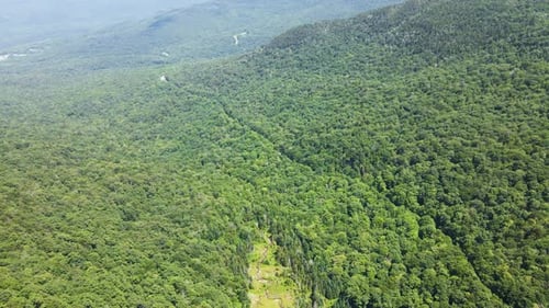Aerial/Drone Backwards Fly Over Forest Mountain Valley from Meadow in Summer